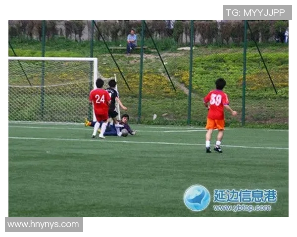 足球鬯的魅力与激情探讨如何提升青少年足球水平与参与度